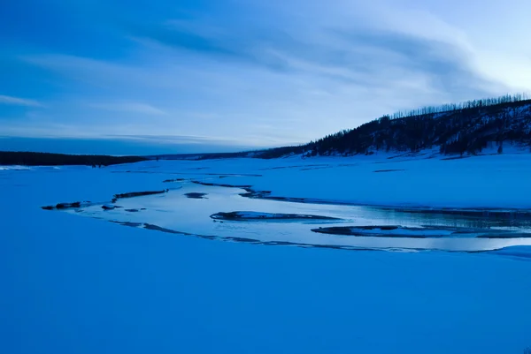 Luz azul fria em Hayden Valley — Fotografia de Stock