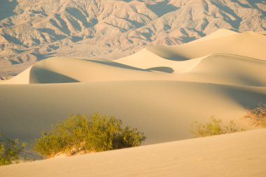 Desert Solitude 2 clipart