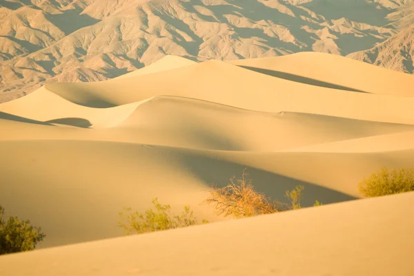 Dunes du désert au coucher du soleil — Photo