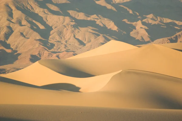 Öknens sanddyner vid solnedgången — Stockfoto