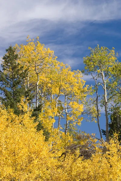 Montana ősz — Stock Fotó