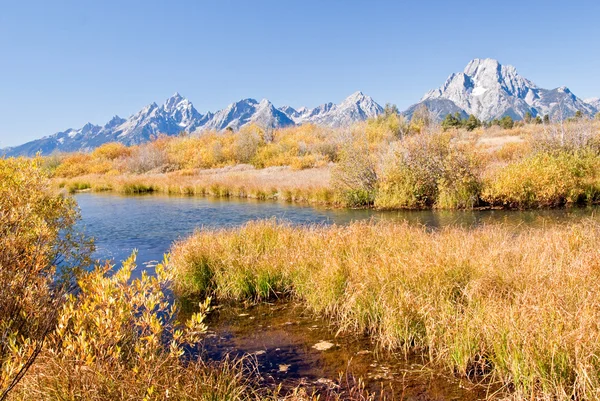 Summer Spring and Grand Tetons — Stock Photo, Image