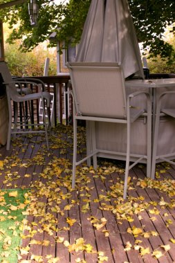 Fall in the Backyard clipart