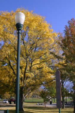 Trees and the Light Post in the Park clipart