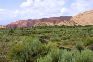 Snow Canyon - Utah clipart