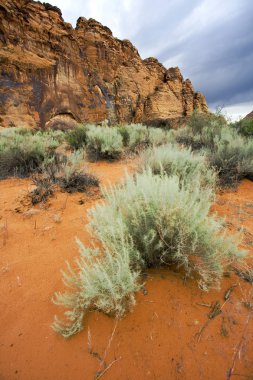 kar kanyon - utah