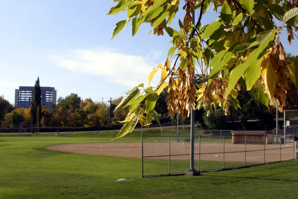 Бейсбольное поле с листьями в фокусе — стоковое фото