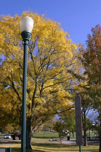 Träd och ljus post i parken — Stockfoto