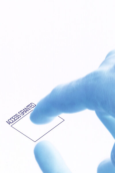 Доступ разрешен - Безопасность отпечатков пальцев
