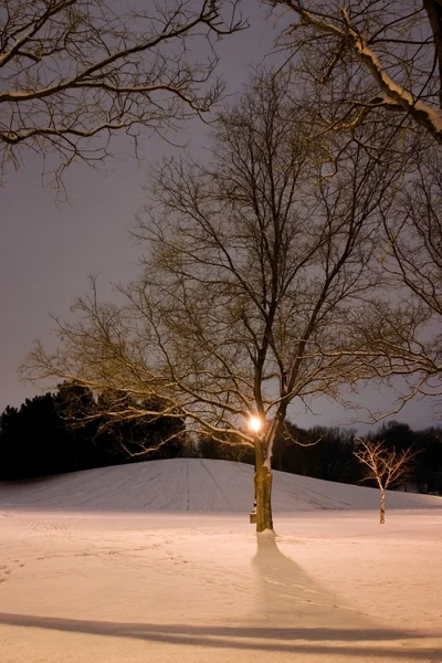 Lichtmast, verschneiter Hügel, Bäume — Stockfoto