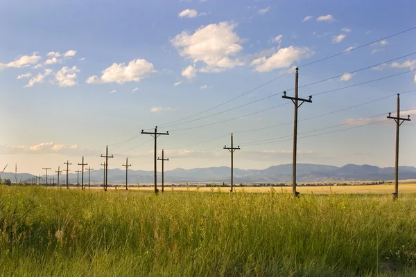 Electric Posts in a Field - Helena — Stock Photo, Image
