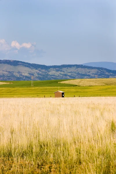 Field in Helena with a Shed — Stock Photo, Image