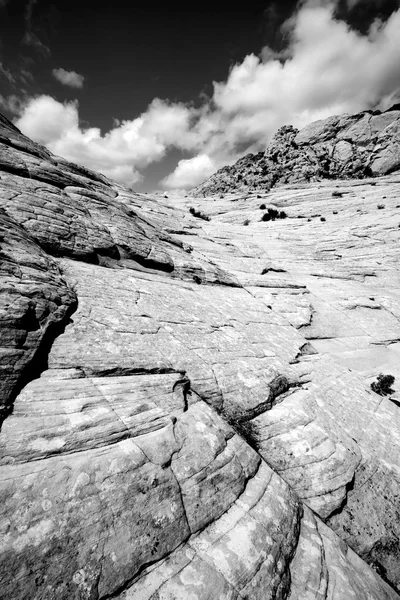 Olhando para os arenitos em Snow Canyon — Fotografia de Stock