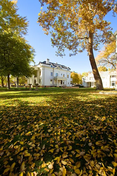Листья во дворе дома — стоковое фото
