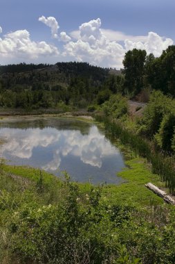 Pond, Mountains and Green