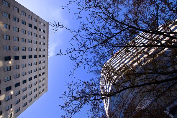 Дивлячись вгору в небо в центрі міста — стокове фото
