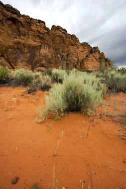 Snow Canyon - Utah clipart