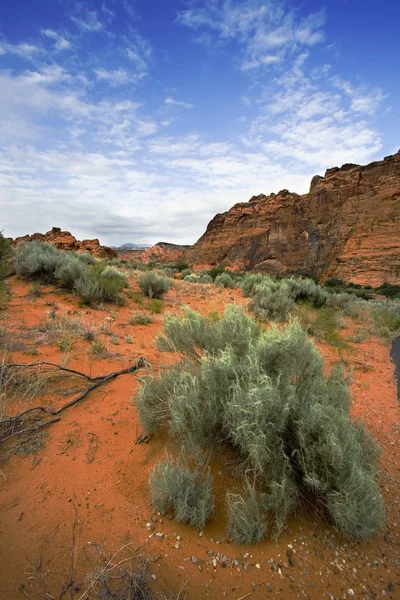 Redrocks and Sand in Snow Canyon — Stock Photo, Image