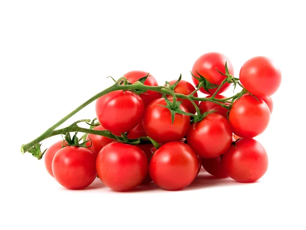 stock image Tomatoes