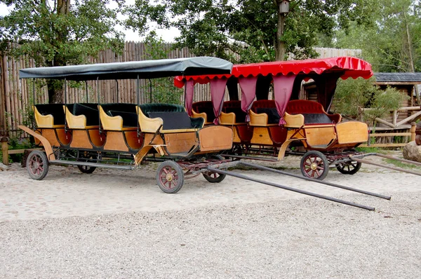 stock image Two modern horseless carriages