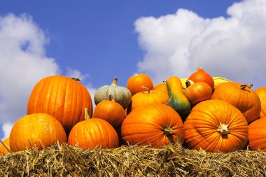 Pumpkins on bales of straw (hay) clipart