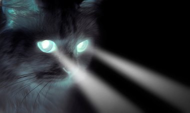 Spooky black cat with shining eyes clipart