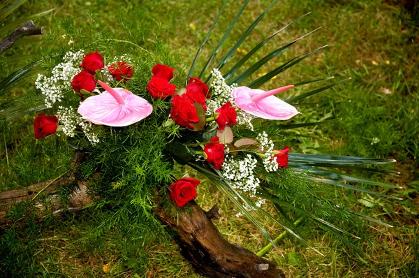 Çiçek Aranjman arka plan — Stok fotoğraf