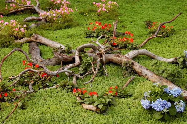 Artistieke landschap-tuinieren bloemstukken — Stockfoto