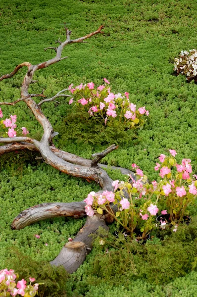Umělecké-zahradní květinová výzdoba — Stock fotografie