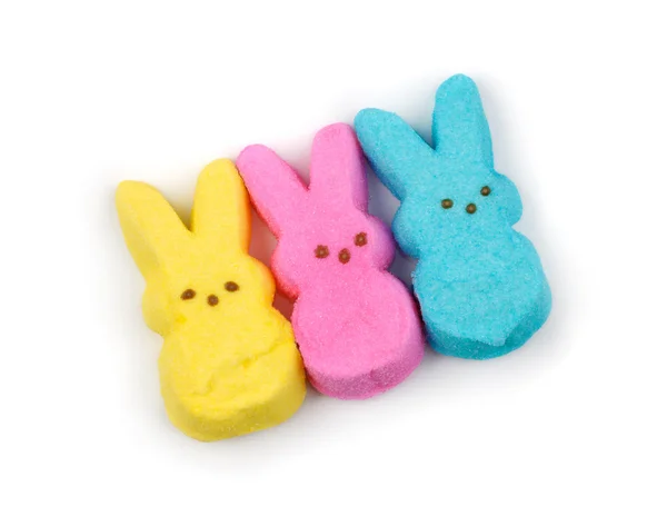 stock image Sweet Bunnies