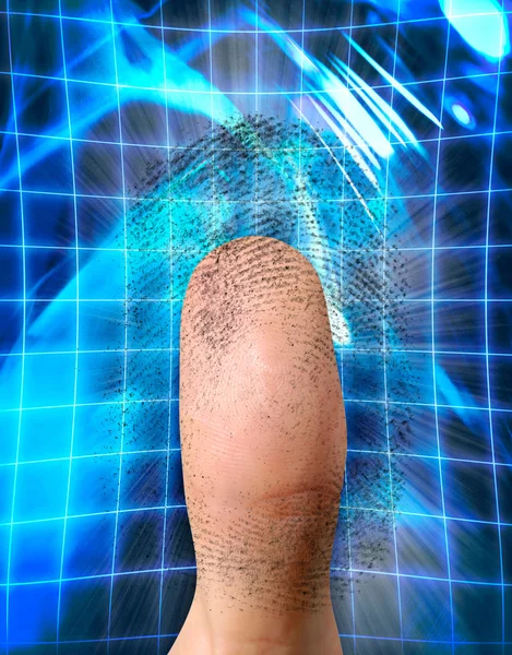 stock image Biometric Identification