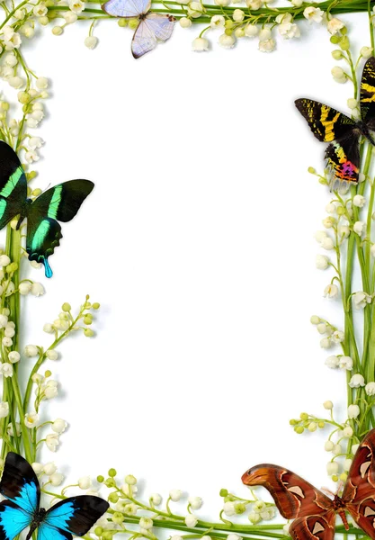 Colorful Summer Frame With Butterflies — Stock Photo, Image