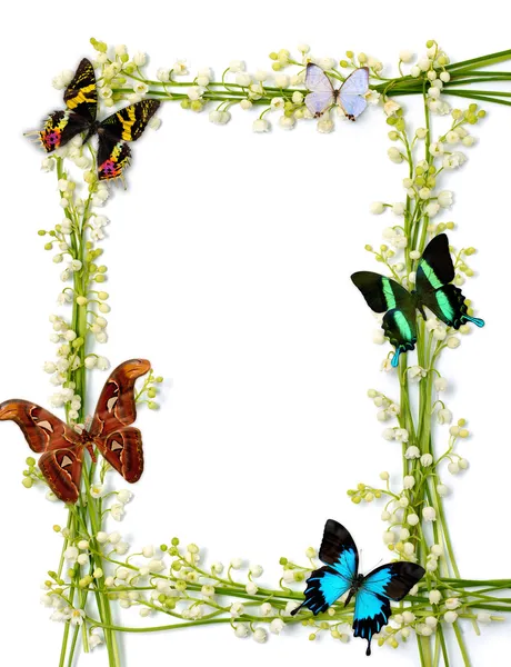 Kelebekler ile renkli yaz çerçeve — Stok fotoğraf