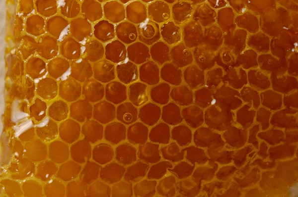 Texture nid d'abeille — Photo
