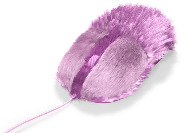 毛茸茸的电脑鼠标 — 图库照片