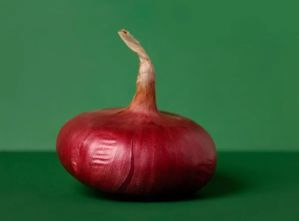 stock image Red Onion