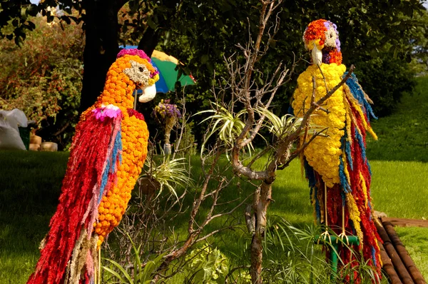 Artistic Landscape-gardening Parrots flower arra — Stock Photo, Image