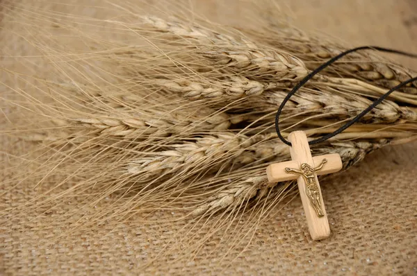 基督教的十字架和小麦 图库图片