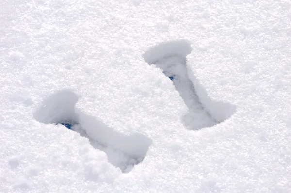 Дві ваги під снігом — стокове фото
