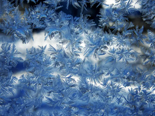 Snow pattern on the glass — Stock Photo, Image