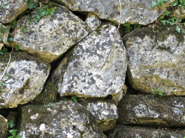Piedras viejas —  Fotos de Stock