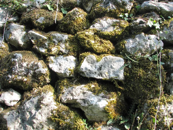 Pedras com um musgo verde — Fotografia de Stock