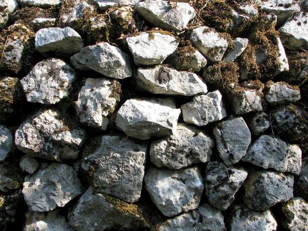 Pedras com musgo — Fotografia de Stock