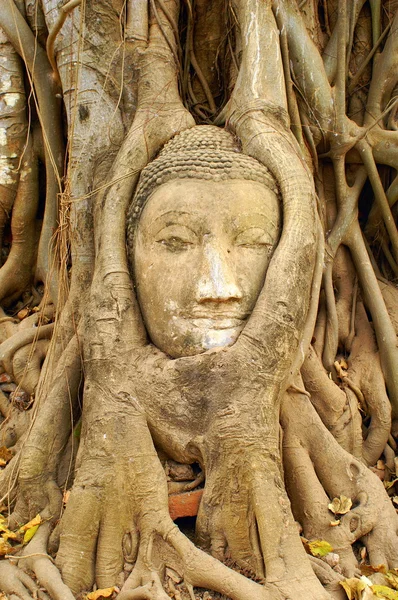 Boeddha Stockafbeelding