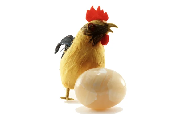 The chicken_2 — Stock Photo, Image
