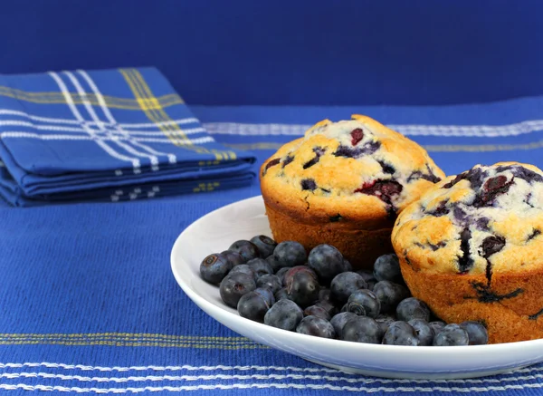 Fresh blueberry muffins with berries — Stock Photo, Image