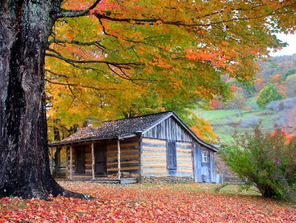 Belle cabane rustique en bois rond à l'automne — Photo