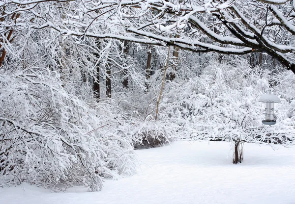 stock image Snow Scene