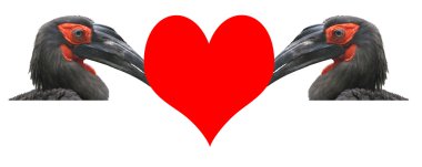 Sevgililer günü, bir kart.