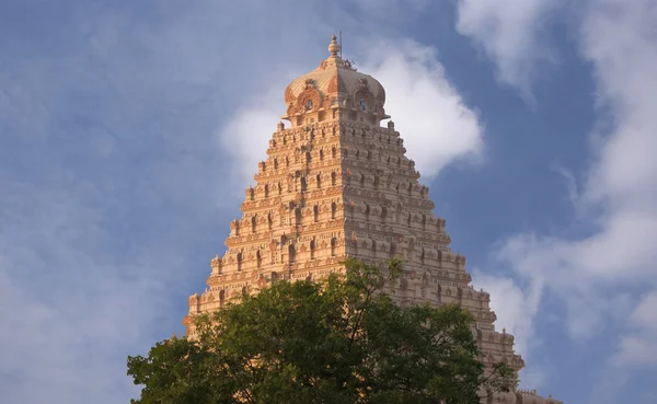 印度，德里，宗教印度教庙 — 图库照片